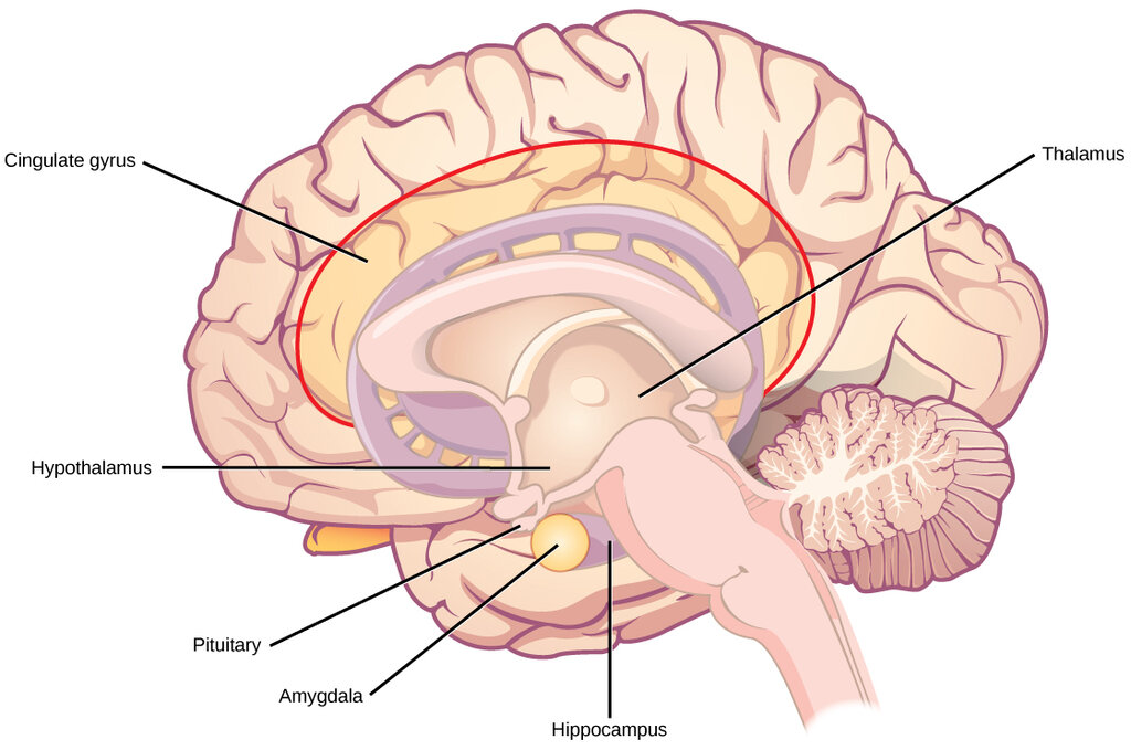 Lesson image