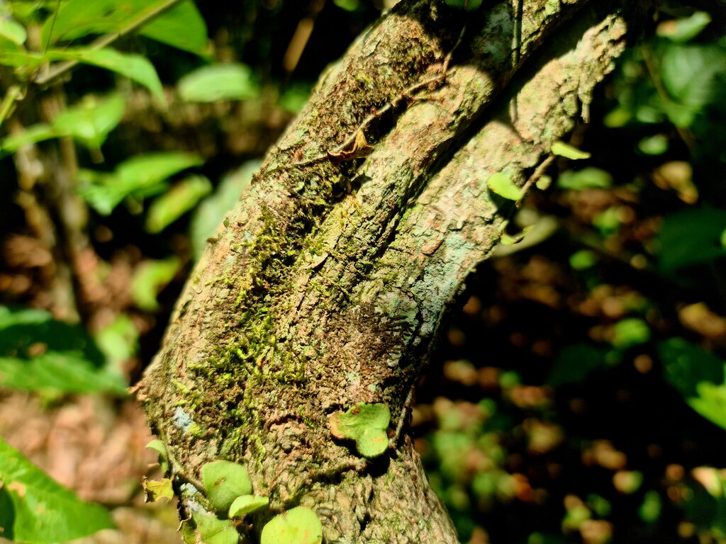 Lesson image