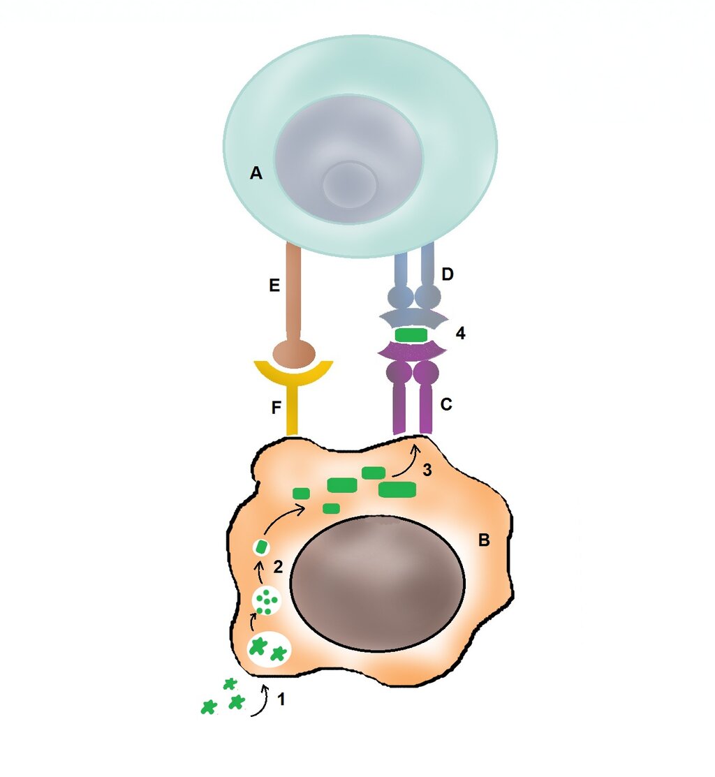 Lesson image