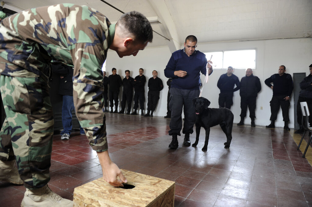 Lesson image