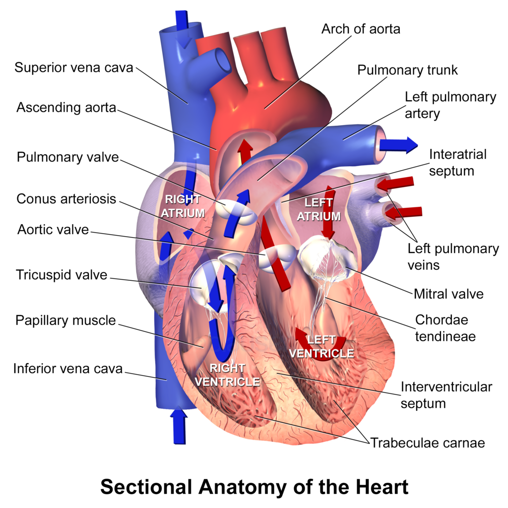 Lesson image