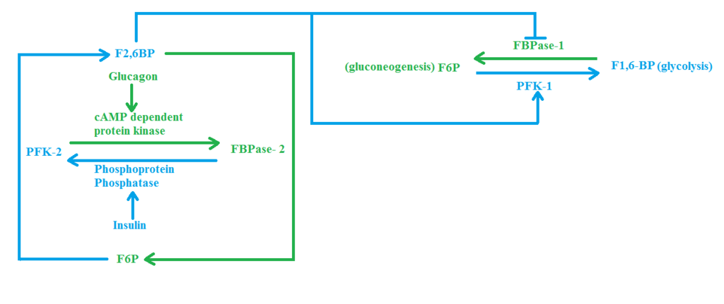 Lesson image