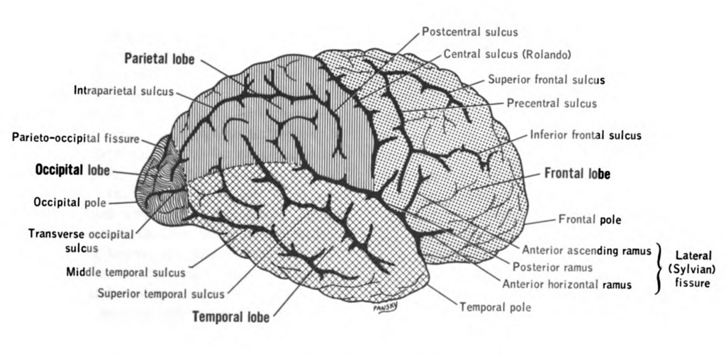 Lesson image