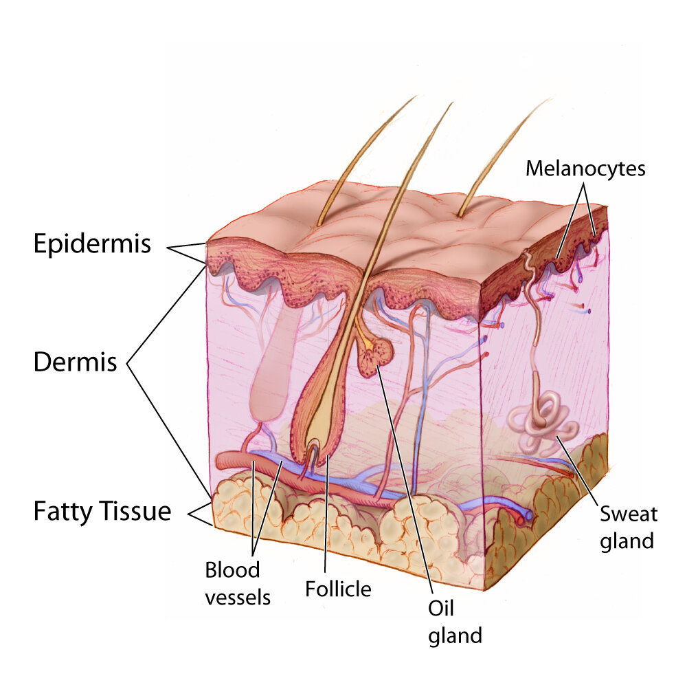 Lesson image
