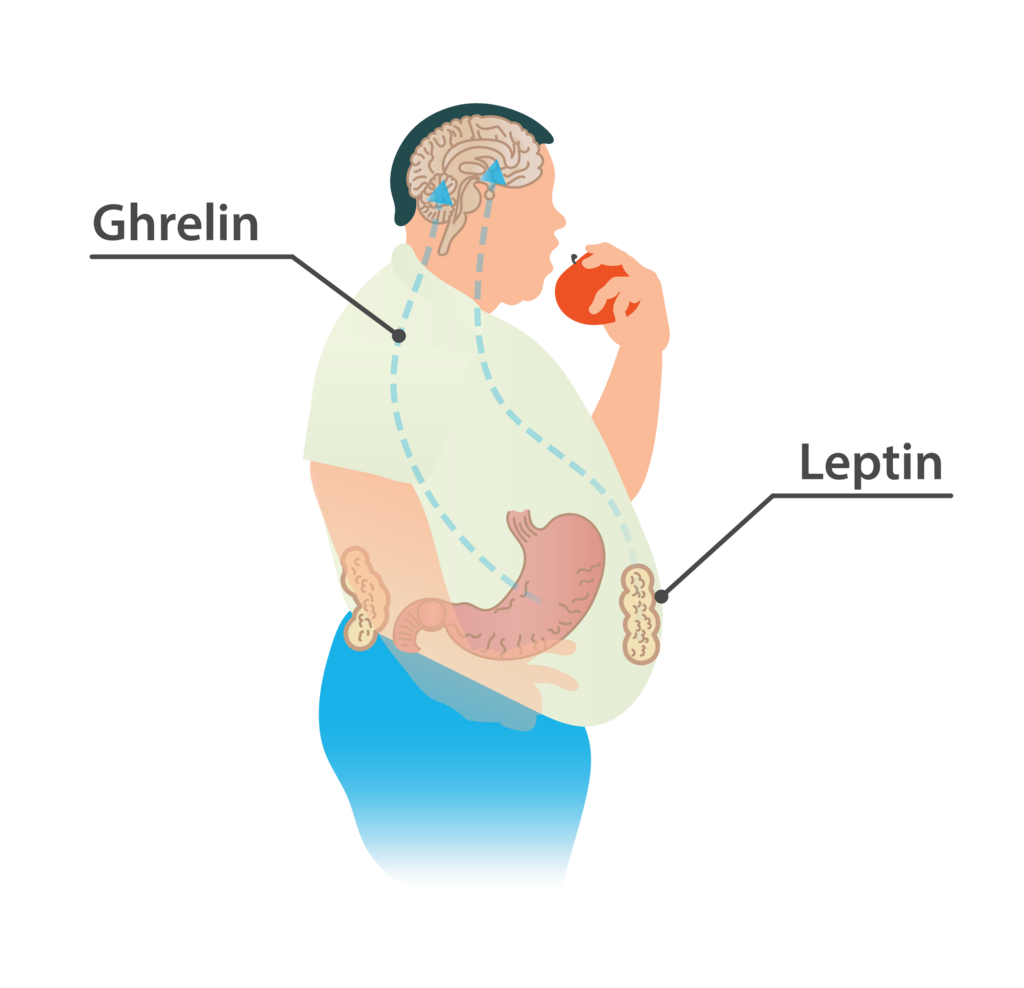 Lesson image
