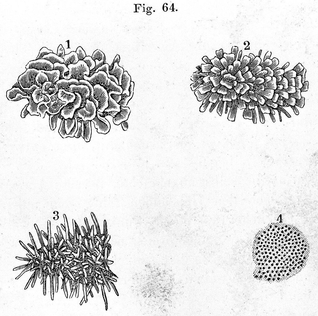Lesson image