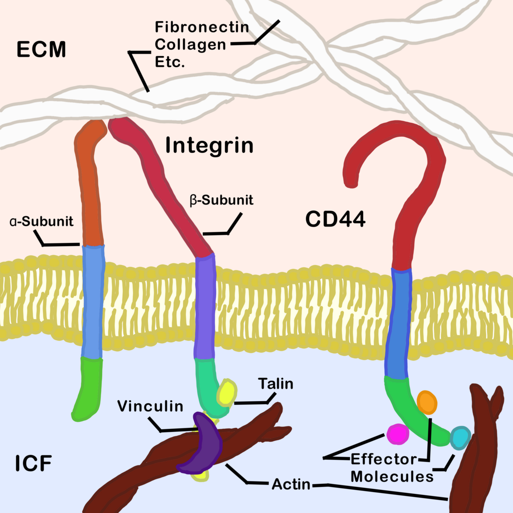 Lesson image