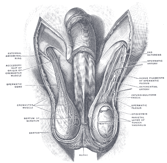 Lesson image