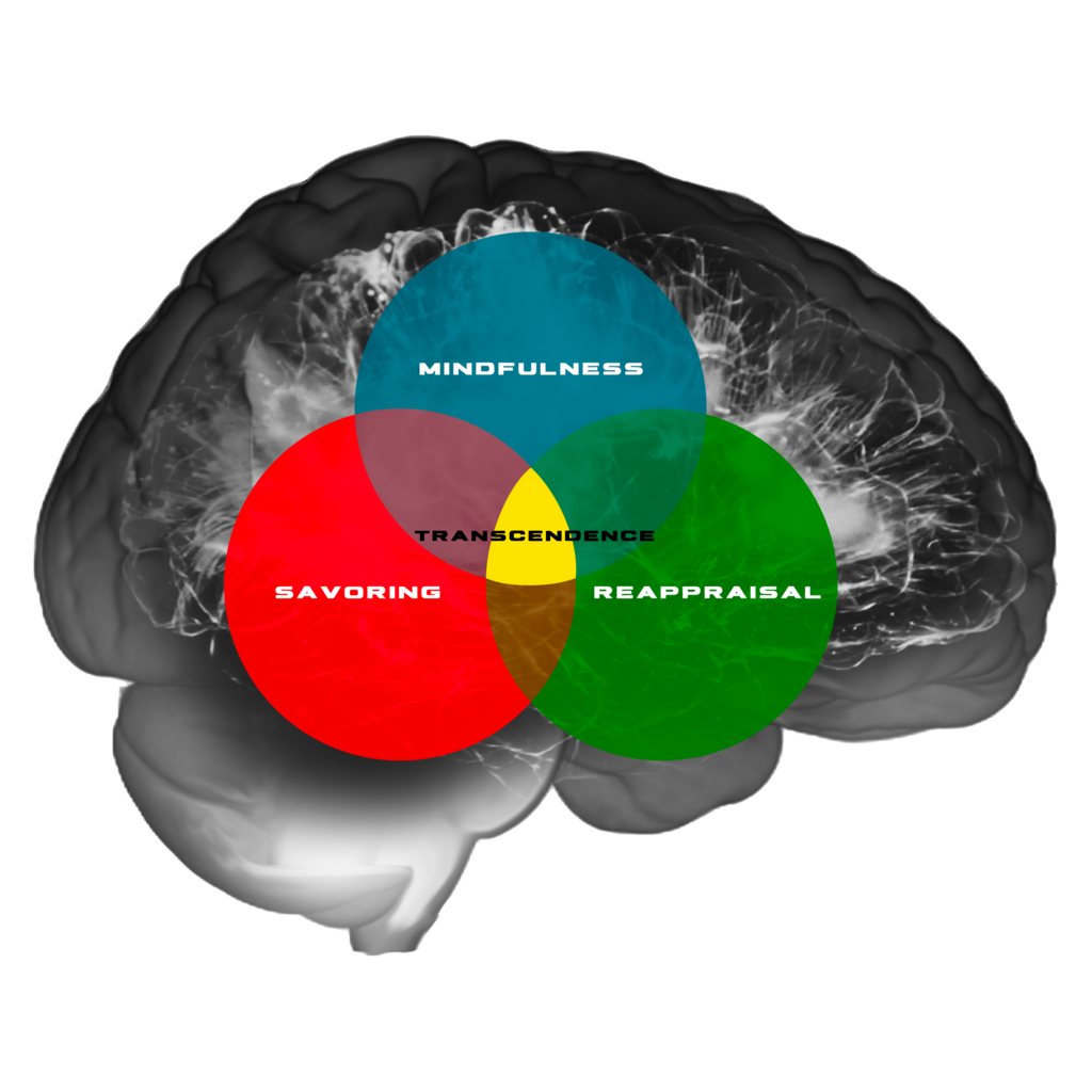 Lesson image