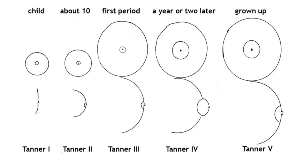 Lesson image