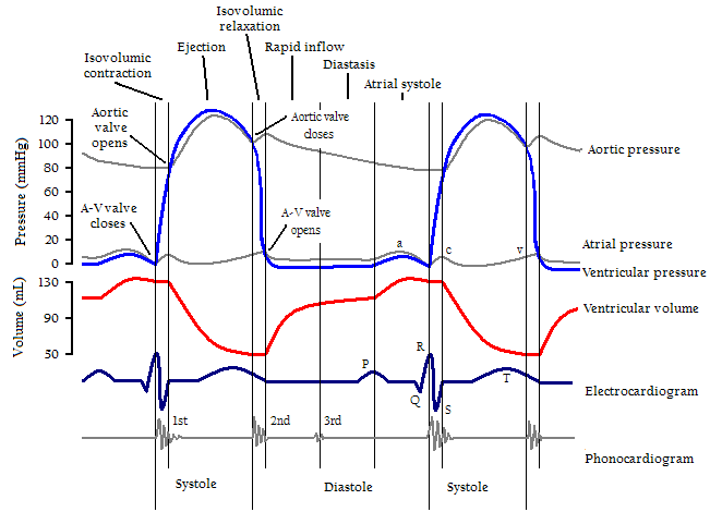 Lesson image