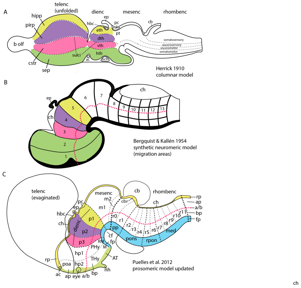 Lesson image