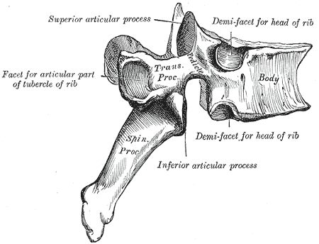 Lesson image