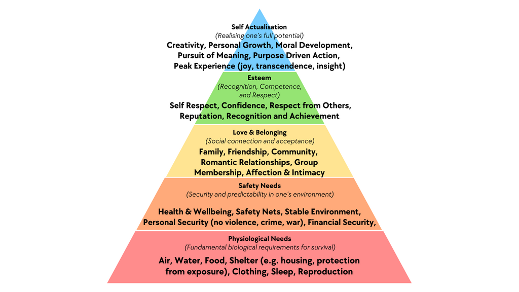 Needs vs Wants - Money Skills for Kids - Money Skills for Kids