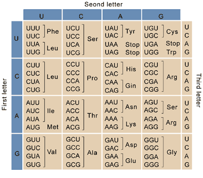 Lesson image