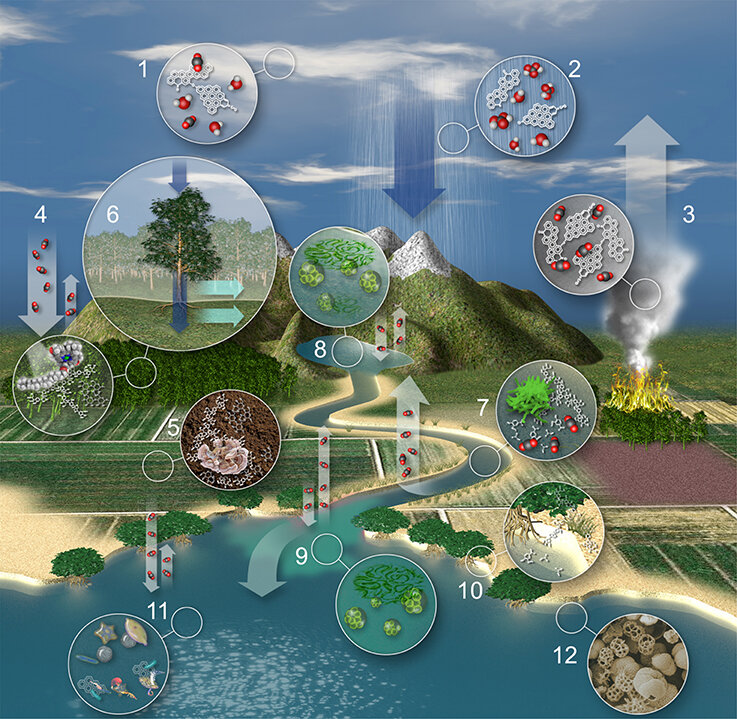 Lesson image