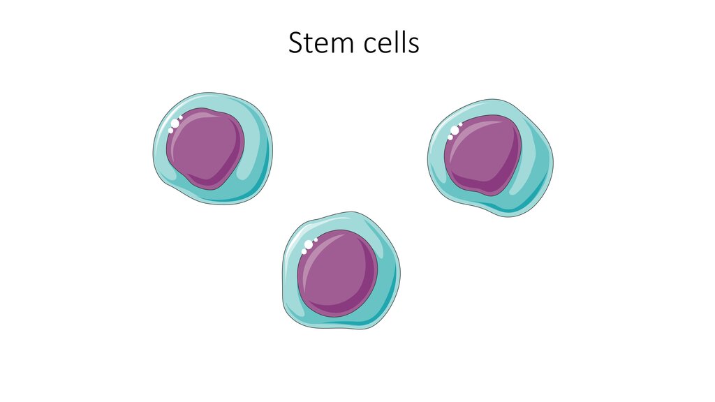 Lesson image