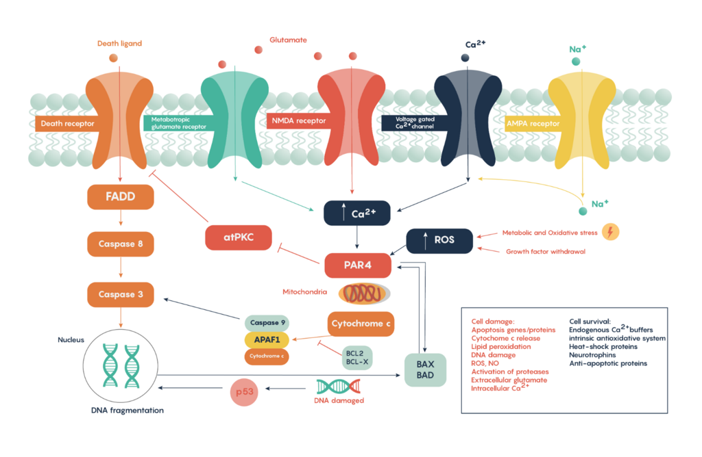 Lesson image