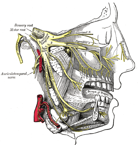 Lesson image