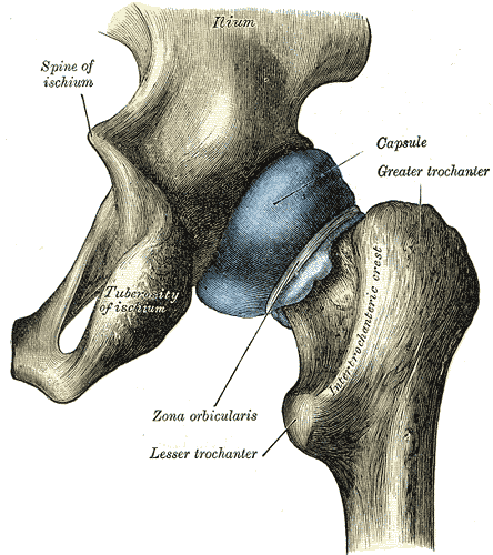 Lesson image