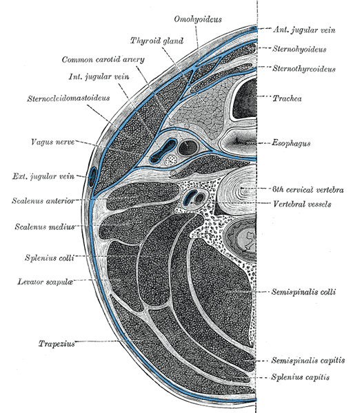 Lesson image
