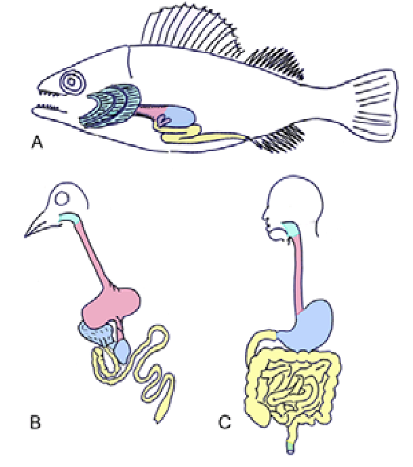 Lesson image