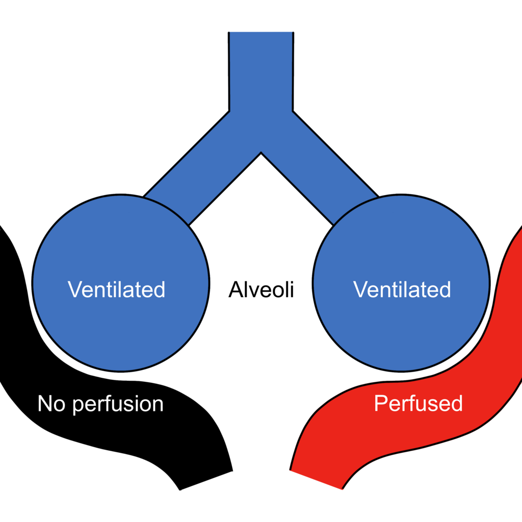 Lesson image