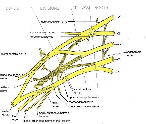 Lesson image