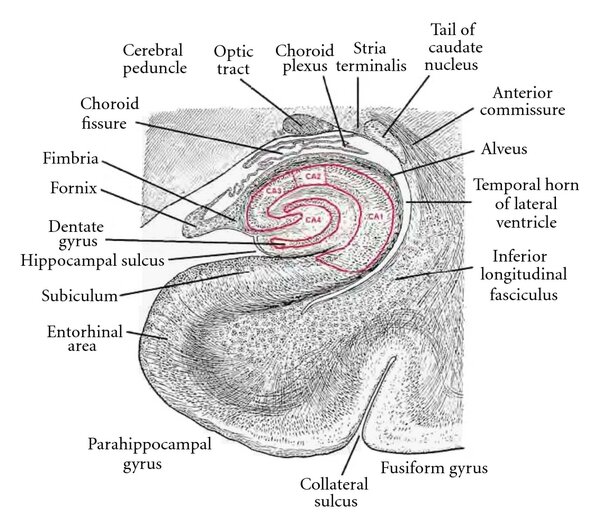 Lesson image