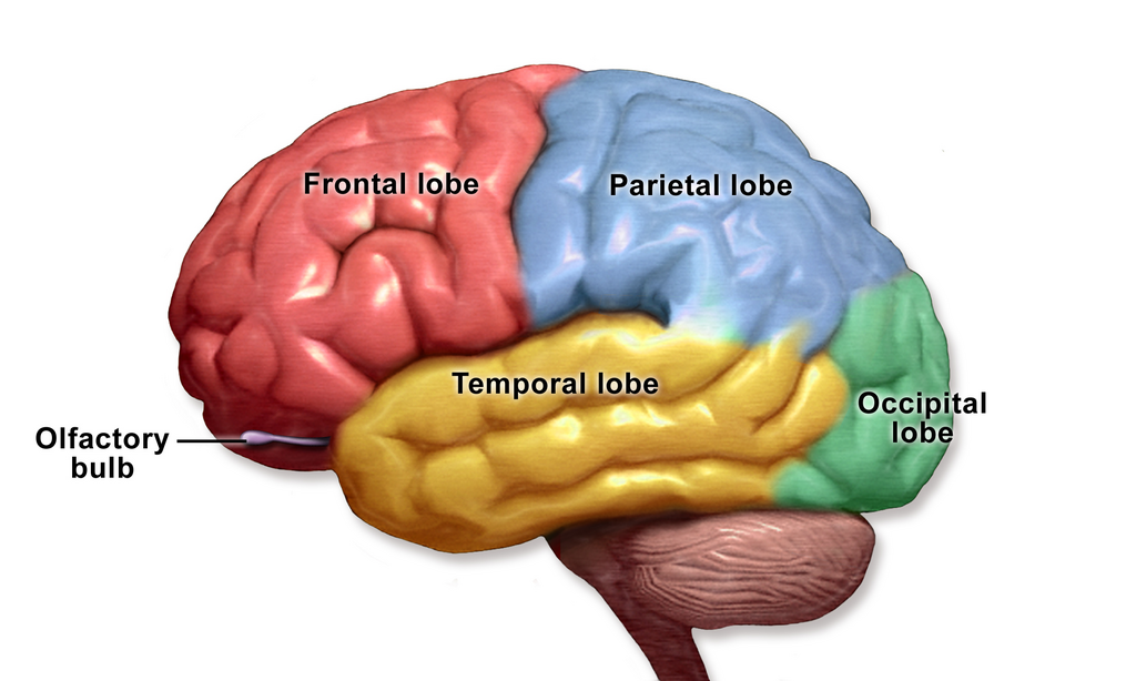Lesson image