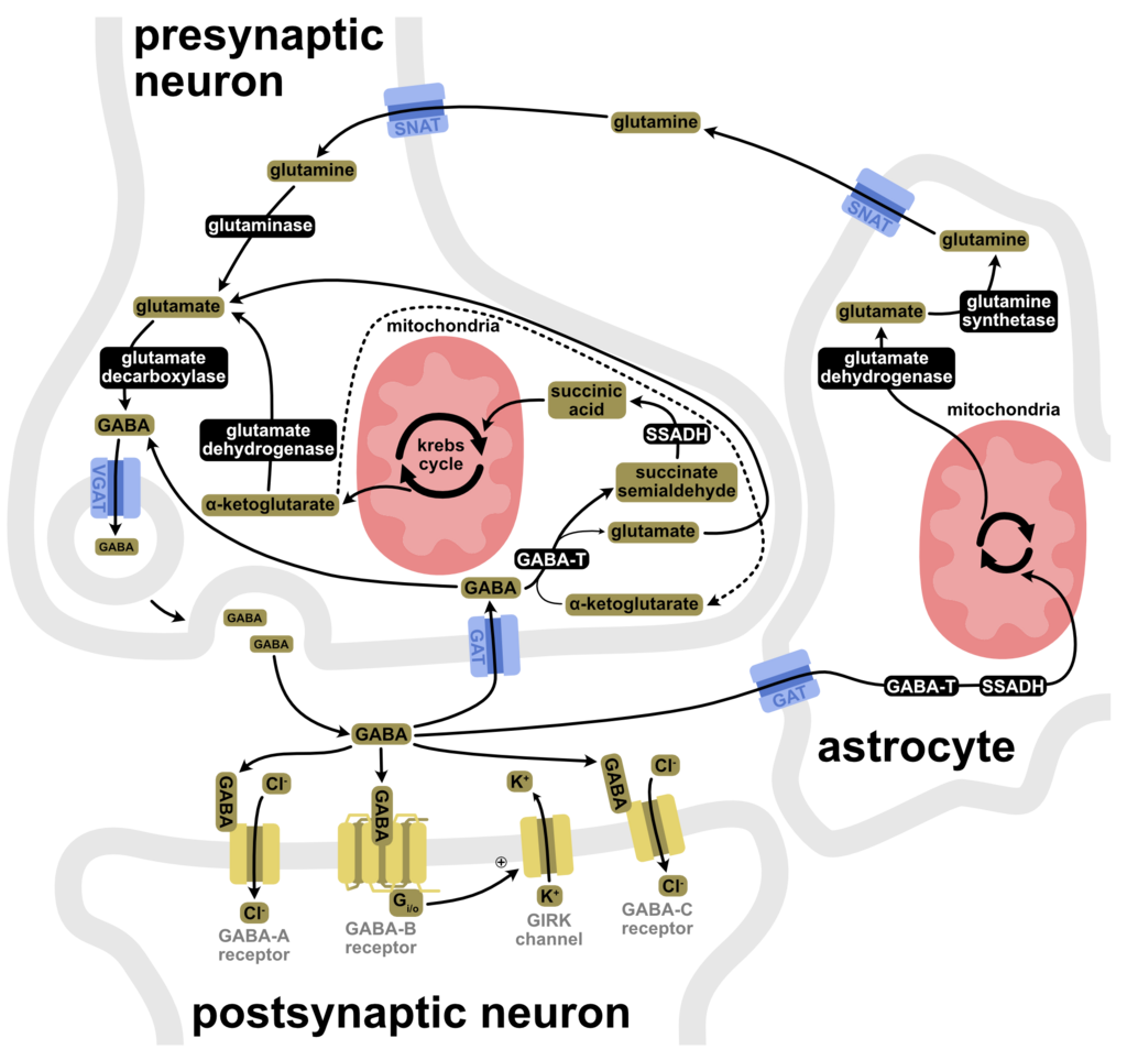 Lesson image