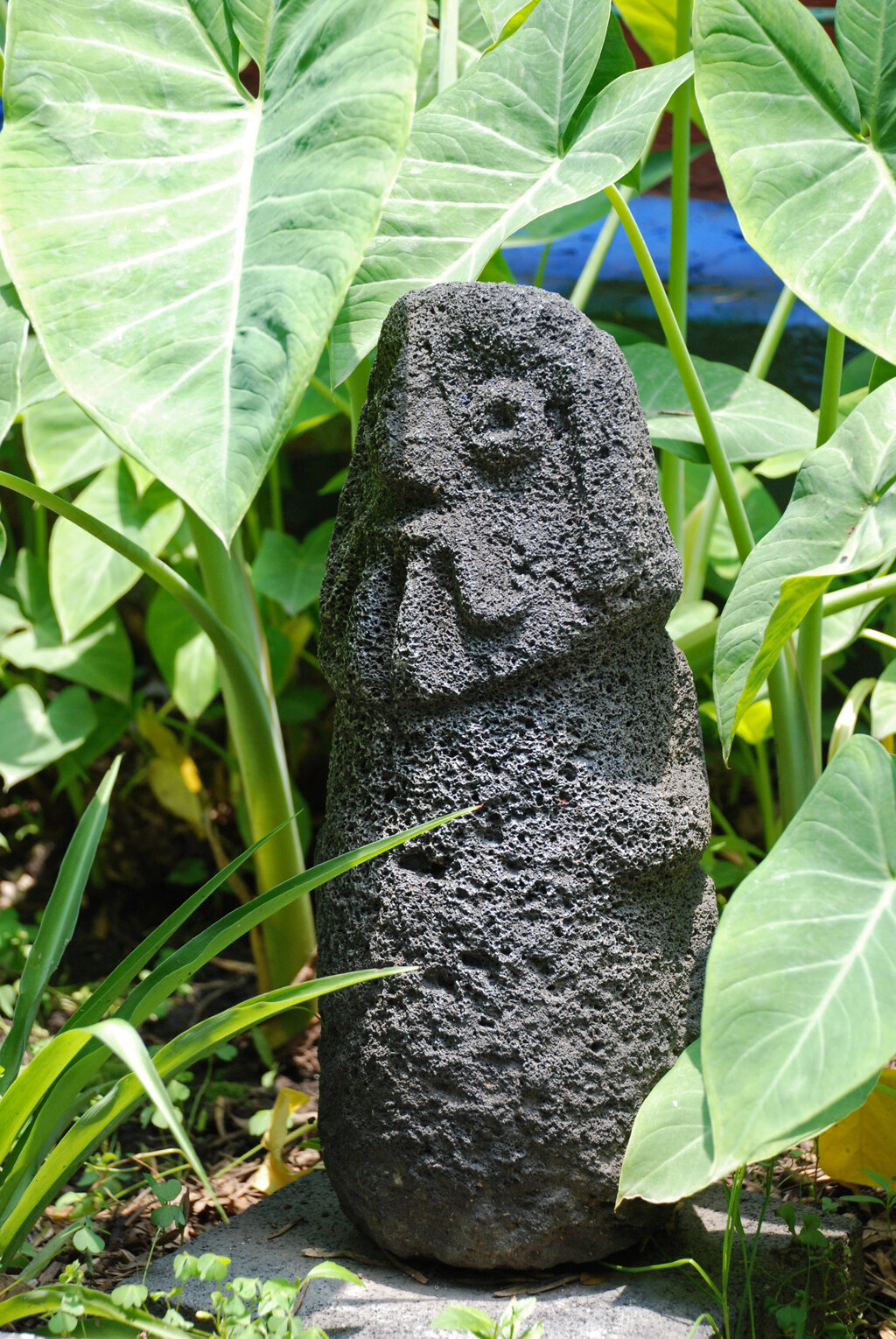 Lesson image