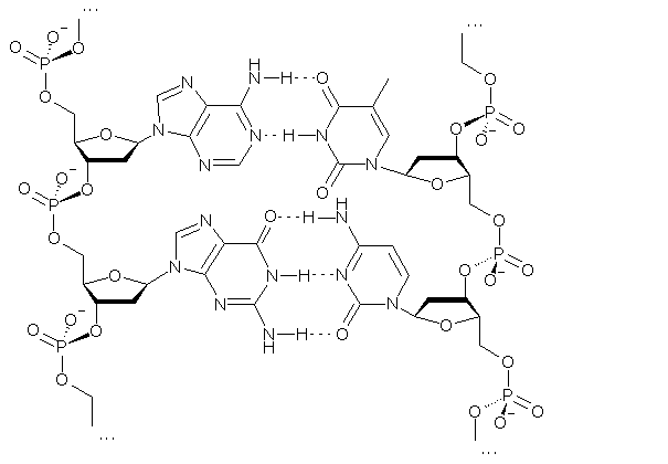 Lesson image
