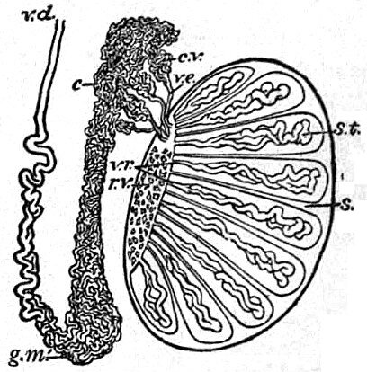 Lesson image
