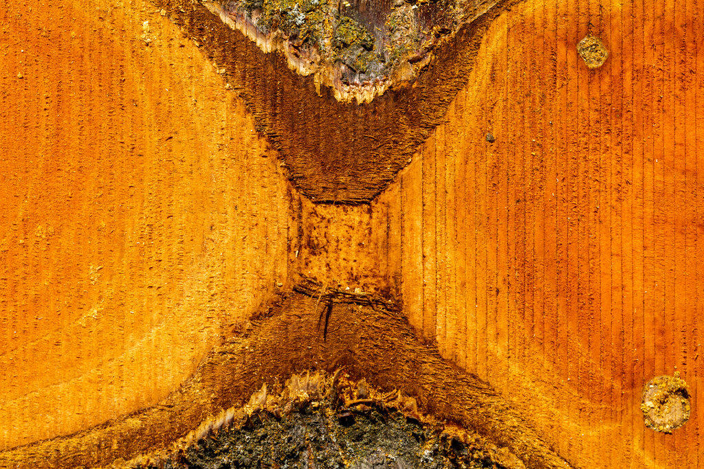 Lesson image