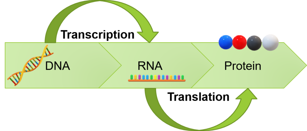 Lesson image