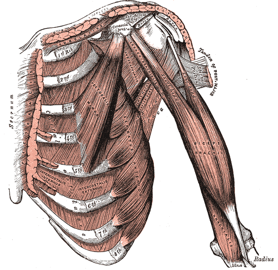 Lesson image