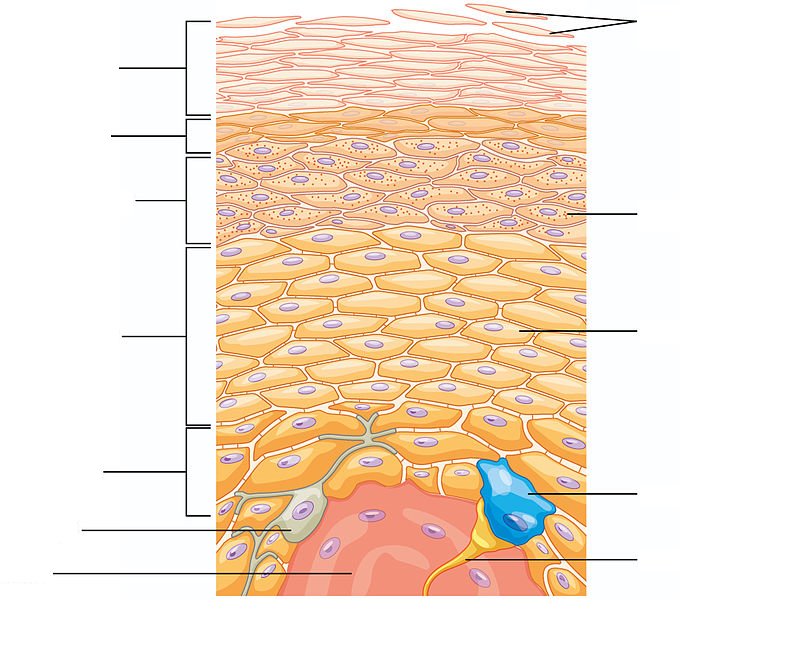 Lesson image