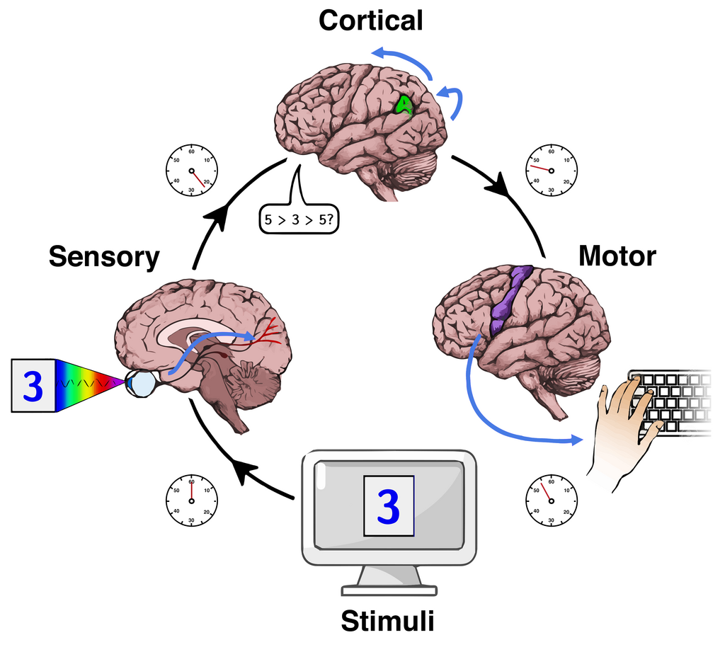 Lesson image