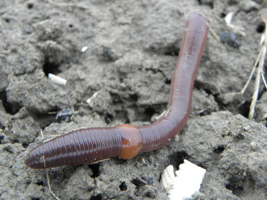 Lesson image