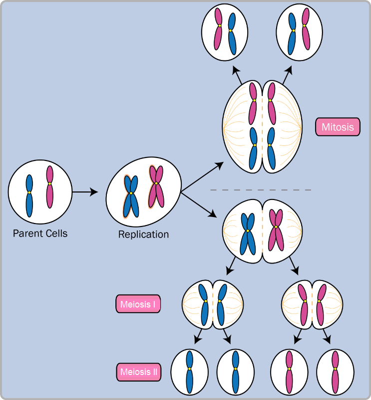 Lesson image