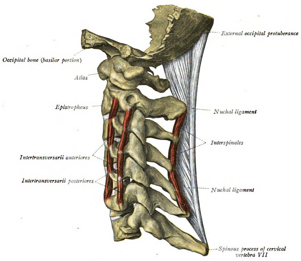 Lesson image