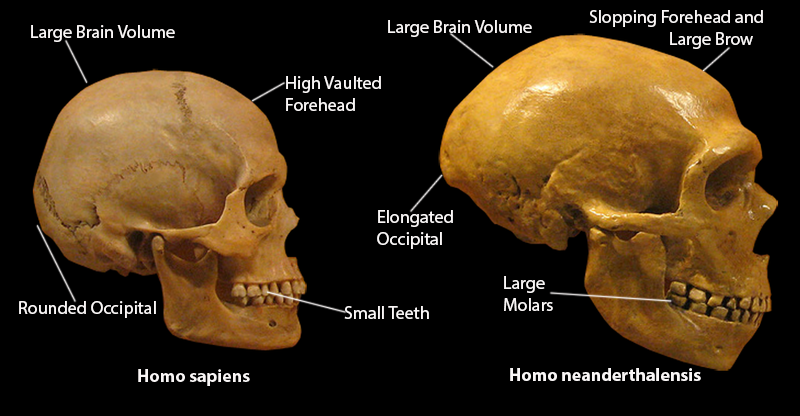 Lesson image