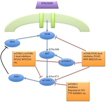 Lesson image