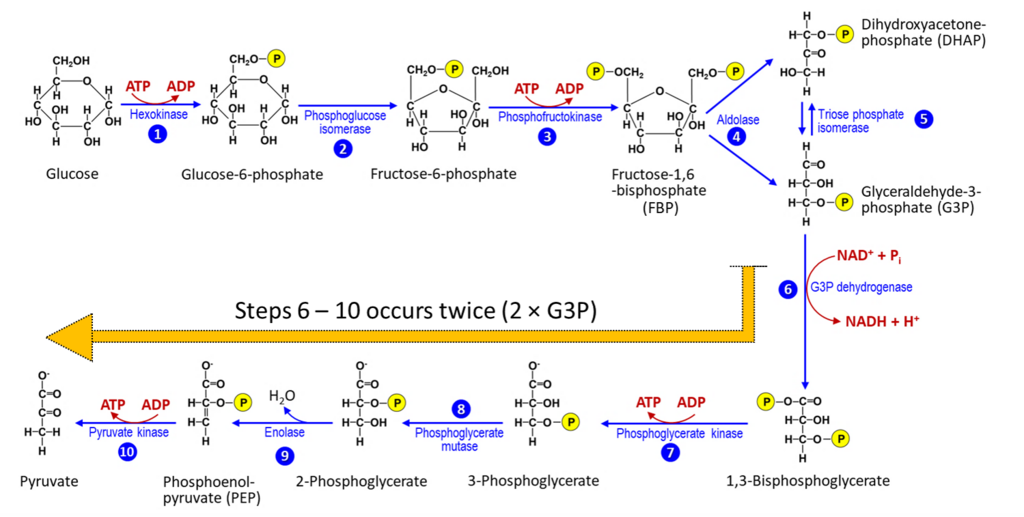 Lesson image
