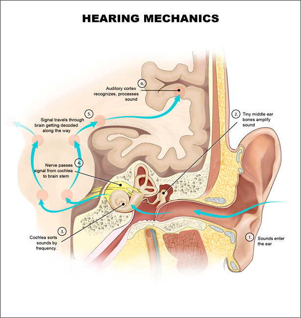 Lesson image