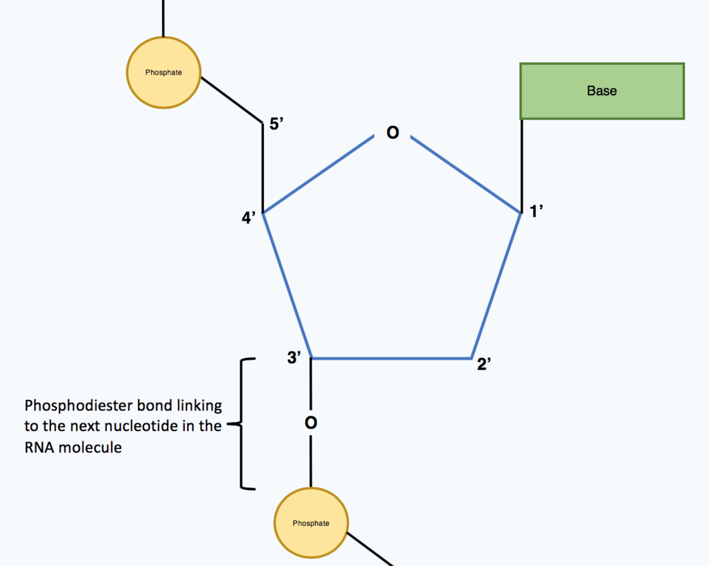 Lesson image