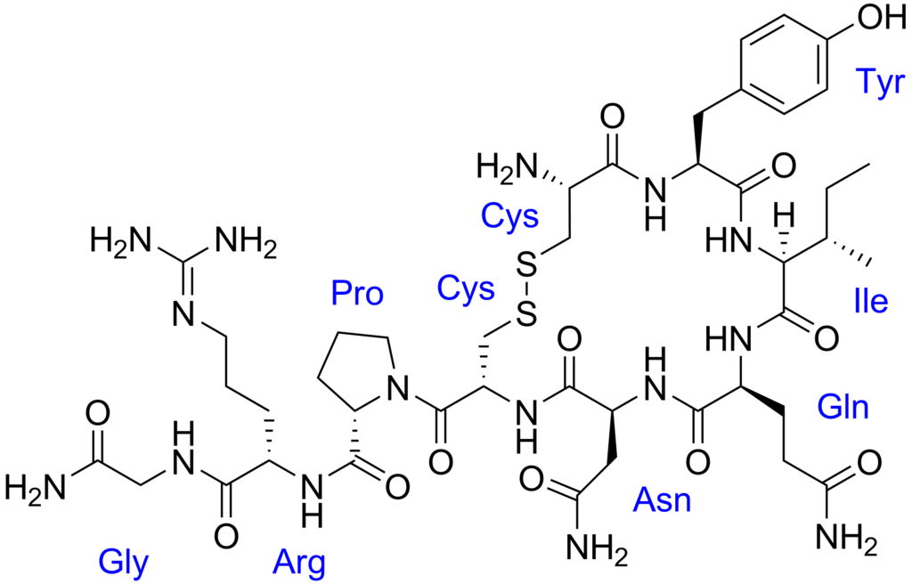 Lesson image