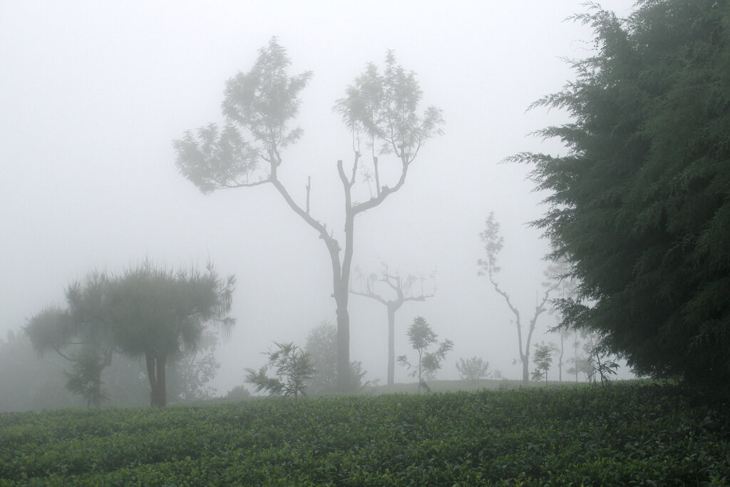 Lesson image