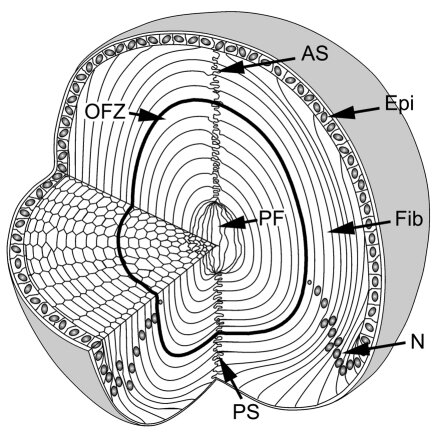 Lesson image